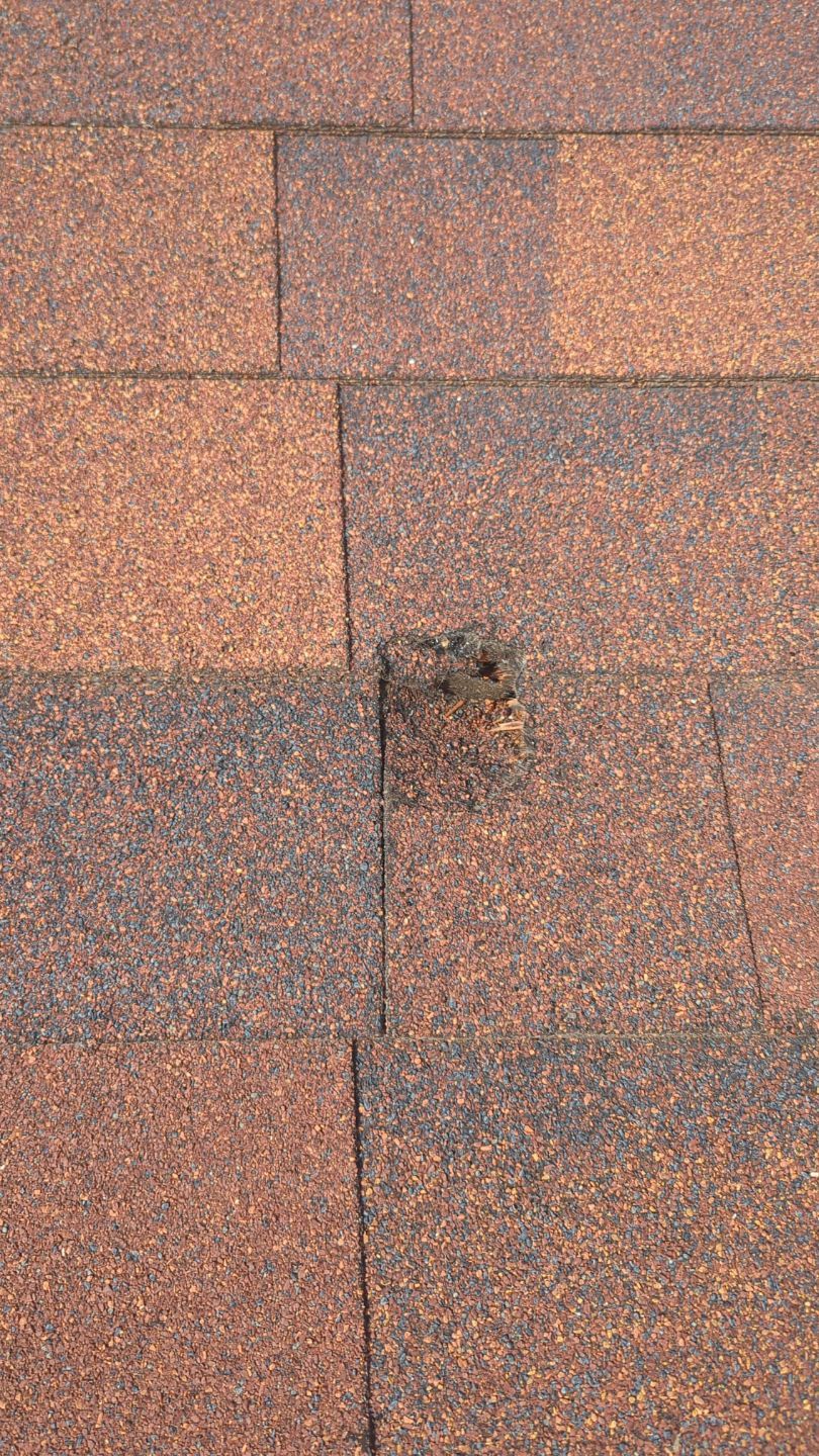 Severe Hail Damage Assessment